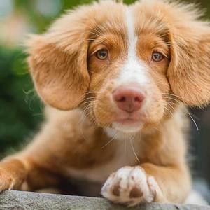 Meet your Posher, Carol